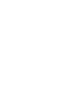 llamarada